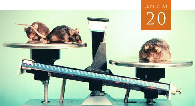 2014 Leptin Symposium