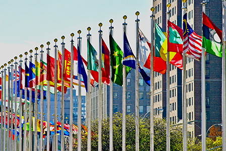 Pickering: UN Flags