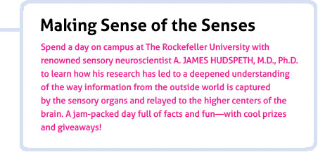 Making Sense of the Senses