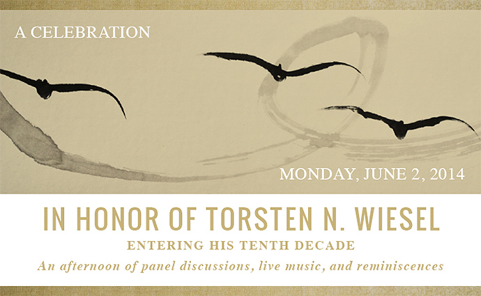 In honor of Torsten N. Wiesel